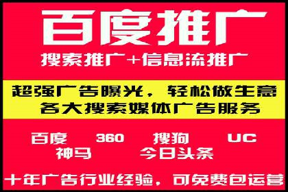 搜索引擎营销（SEM）在本地市场的投放案例
